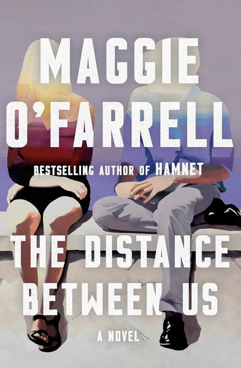 The Distance Between Us: A Novel