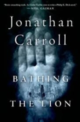 Bathing the Lion: A Novel