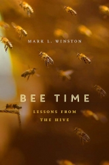 Bee Time: Lessons from the Hive